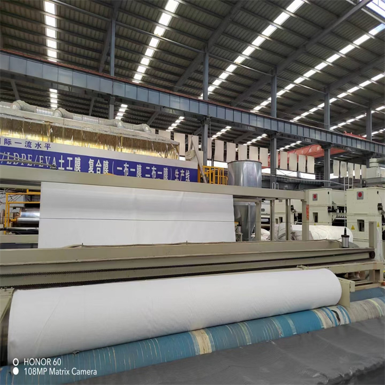 復(fù)合土工膜 兩布一膜 一布一膜廠(chǎng)家